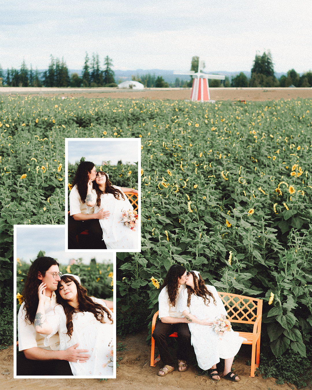 Lovestory Pregnancy Announcement Among the Sunflowers of the Wooden Shoe Tulip Farm — photograph 18 of 39